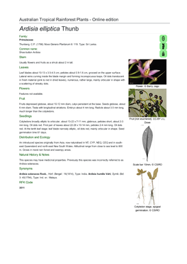 Ardisia Elliptica Thunb Family: Primulaceae Thunberg, C.P