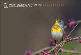 WARBLERS of OHIO C D G U I D E B O O K DIVISION of WILDLIFE INTRODUCTION Chest Warblers (Also Known As Wood-Warblers) Are One of the Avian Highlights of Nut- Spring