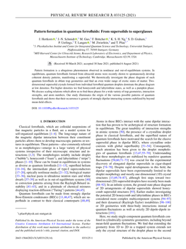 (2021) Pattern Formation in Quantum Ferrofluids: from Supersolids To