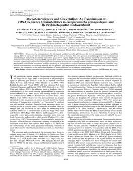 Microheterogeneity and Coevolution: an Examination of Rdna Sequence Characteristics in Neoparamoeba Pemaquidensis and Its Prokinetoplastid Endosymbiont