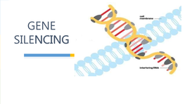 GENE SILENCING Contents