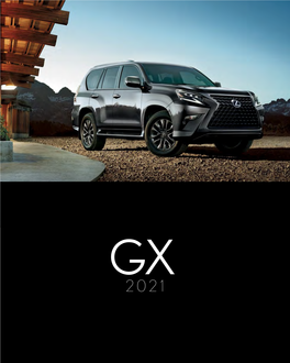 Brochure for the 2021 GX