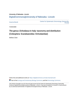 <I>Ochodaeus</I> in Italy: Taxonomy and Distribution