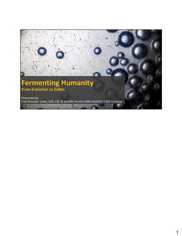 Fermenting-Humanity.Pdf