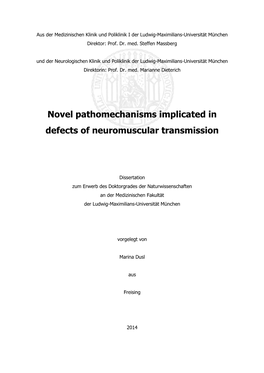 Novel Pathomechanisms Implicated in Defects of Neuromuscular Transmission