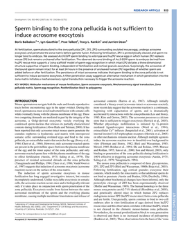 Sperm Binding to the Zona Pellucida Is Not Sufficient to Induce Acrosome Exocytosis