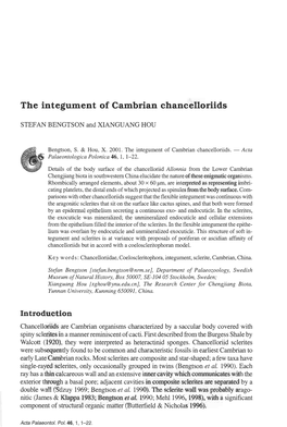 The Integument of Cambrian Chancelloriids