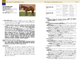 LOT 32 Dark Angel Ex Snowfields (Raven's Pass) Dark Angel Ex Snowfields (Raven's Pass) LOT 32