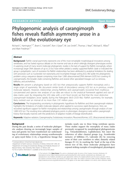 Phylogenomic Analysis of Carangimorph Fishes Reveals Flatfish Asymmetry Arose in a Blink of the Evolutionary Eye Richard C