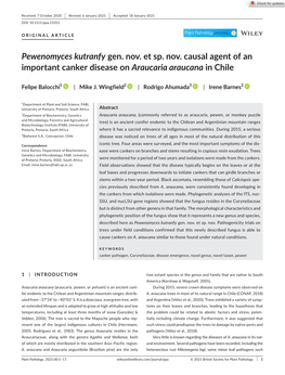 Pewenomyces Kutranfy Gen. Nov. Et Sp. Nov. Causal Agent of an Important Canker Disease on Araucaria Araucana in Chile