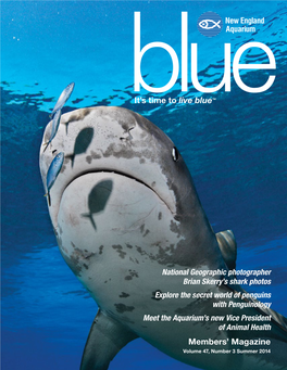 Members' Magazine It's Time to Live Blue™