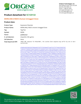 WDR6 (NM 018031) Human Untagged Clone – SC120132 | Origene