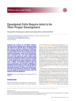 Ependymal Cells Require Anks1a for Their Proper Development