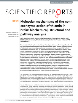 Coenzyme Action of Thiamin in Brain: Biochemical, Structural and Pathway Analysis