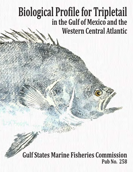 Tripletail in the Gulf of Mexico and the Western Central Atlantic