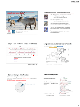 Knowledge from Three Major Genome Projects Large-Scale Evolution Across Vertebrates Large-Scale Evolution Across Vertebrates