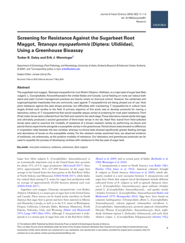 Screening for Resistance Against the Sugarbeet Root Maggot, Tetanops Myopaeformis (Diptera: Ulidiidae), Using a Greenhouse Bioassay