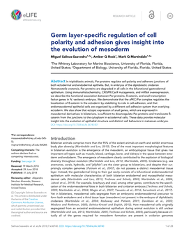 Germ Layer-Specific Regulation of Cell Polarity and Adhesion Gives Insight