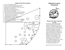 Plants in the California Native Garden Pamphlet