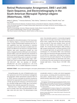 Retinal Photoreceptor Arrangement, SWS1 and LWS Opsin Sequence, and Electroretinography in the South American Marsupial Thylamys Elegans (Waterhouse, 1839)