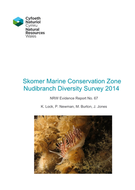 Skomer Marine Conservation Zone Nudibranch Diversity Survey 2014