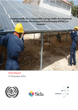 Scoping Study for a Renewable Energy Skills Development PPDP