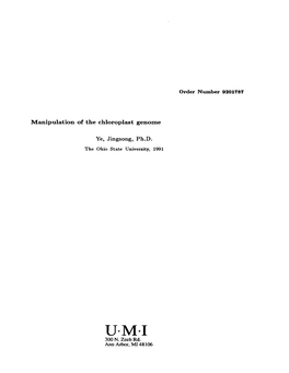 Manipulation of the Chloroplast Genome