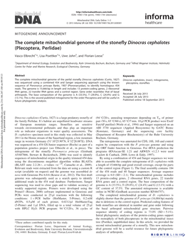 The Complete Mitochondrial Genome of the Stonefly Dinocras Cephalotes (Plecoptera, Perlidae)