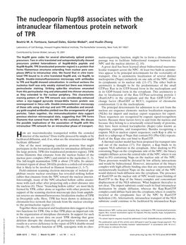 The Nucleoporin Nup98 Associates with the Intranuclear Filamentous Protein Network of TPR