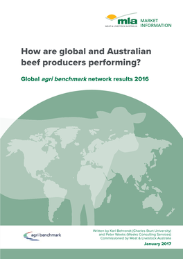 Global Benchmarking Results for Beef Producers