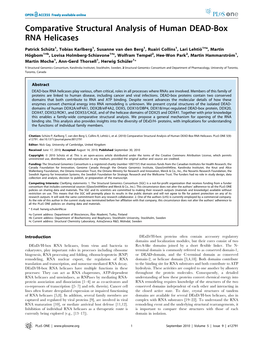 Comparative Structural Analysis of Human DEAD-Box RNA Helicases