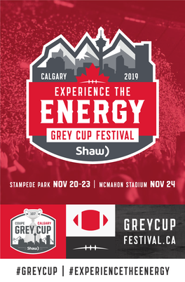 Greycup | #Experiencetheenergy 2 Table of Contents