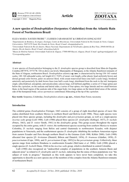 A New Species of Dendrophidion (Serpentes: Colubridae) from the Atlantic Rain Forest of Northeastern Brazil