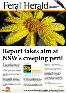 Report Takes Aim at NSW's Creeping Peril