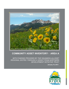 Community Asset Inventory - Area A