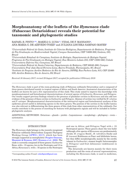 Morphoanatomy of the Leaflets of the Hymenaea Clade (Fabaceae: Detarioideae) Reveals Their Potential for Taxonomic and Phylogenetic Studies