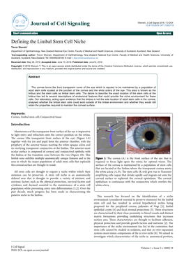 Defining the Limbal Stem Cell Niche