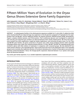 Fifteen Million Years of Evolution in the Oryza Genus Shows Extensive Gene Family Expansion