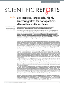 Bio-Inspired, Large Scale, Highly-Scattering Films for Nanoparticle- Alternative White Surfaces