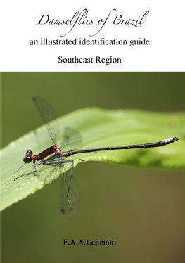 Damselflies of Brazil an Illustrated Identification Guide Southeast Region