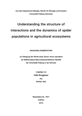 Understanding the Structure of Interactions and the Dynamics of Spider Populations in Agricultural Ecosystems