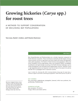 Growing Hickories (Carya Spp.) for Roost Trees