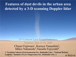 Features of Dust Devils in the Urban Area Detected by a 3-D Scanning Doppler Lidar