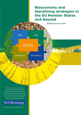 Bioeconomy and Biorefining Strategies in the EU Member States and Beyond
