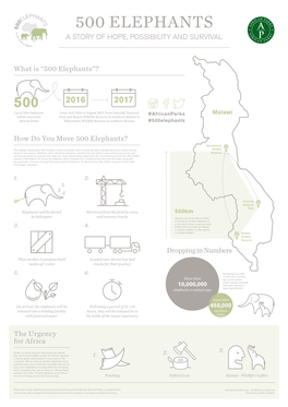 A STORY of HOPE, POSSIBILITY and SURVIVAL What Is “500 Elephants”? How Do You Move 500 Elephants? the Urgency for Africa