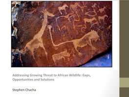 Addressing Growing Threat to African Wildlife: Gaps, Opportunities and Solutions