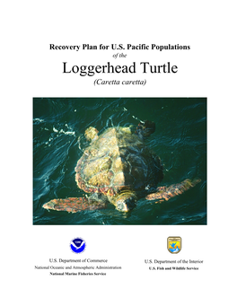 Recovery Plan for US Pacific Populations of the Loggerhead Turtle