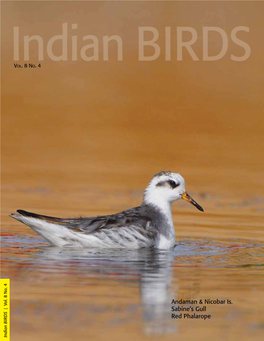 Andaman & Nicobar Is. Sabine's Gull Red Phalarope