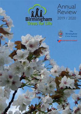 Annual Review 2019 / 2020