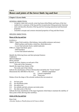 Bones and Joints of the Lower Limb: Leg and Foot